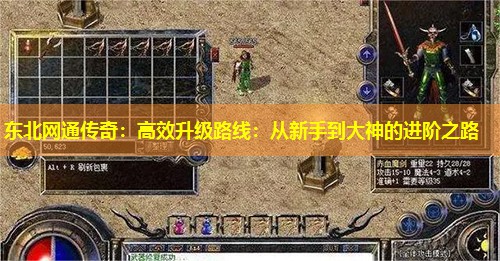 东北网通传奇：高效升级路线：从新手到大神的进阶之路