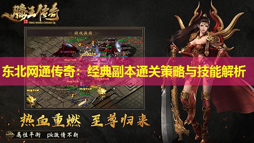 东北网通传奇：经典副本通关策略与技能解析