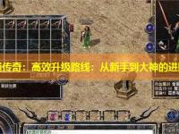东北网通传奇：高效升级路线：从新手到大神的进阶之路