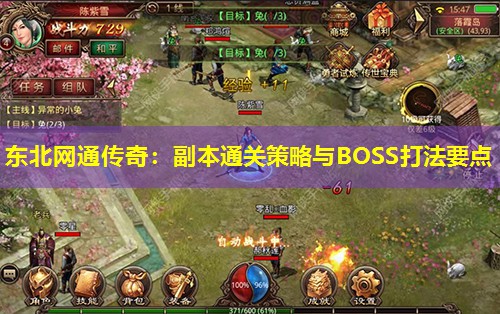 东北网通传奇：副本通关策略与BOSS打法要点