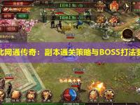 东北网通传奇：副本通关策略与BOSS打法要点